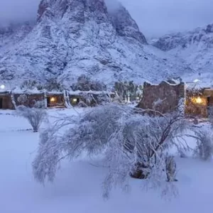 الإصلاح والتنمية يطالب بإشراف مباشر لوزارة السياحة على رحلات سانت كاترين