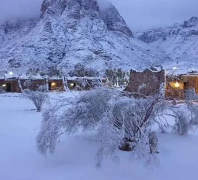 الإصلاح والتنمية يطالب بإشراف مباشر لوزارة السياحة على رحلات سانت كاترين