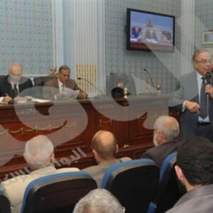 وزير الخارجية ينفى تعرض الجيزاوى للتعذيب وزير الخارجية