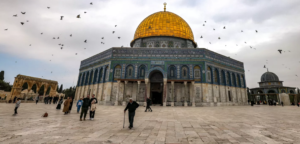 حزب الاصلاح والتنمية يشارك في جهود رفع المعاناة عن اهالي غزة