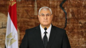 أنور السادات للرئيس : لابد أن يكون تقرير فض رابعة آخر أعمال مجلس حقوق الإنسان ويجب الإقالة الفورية