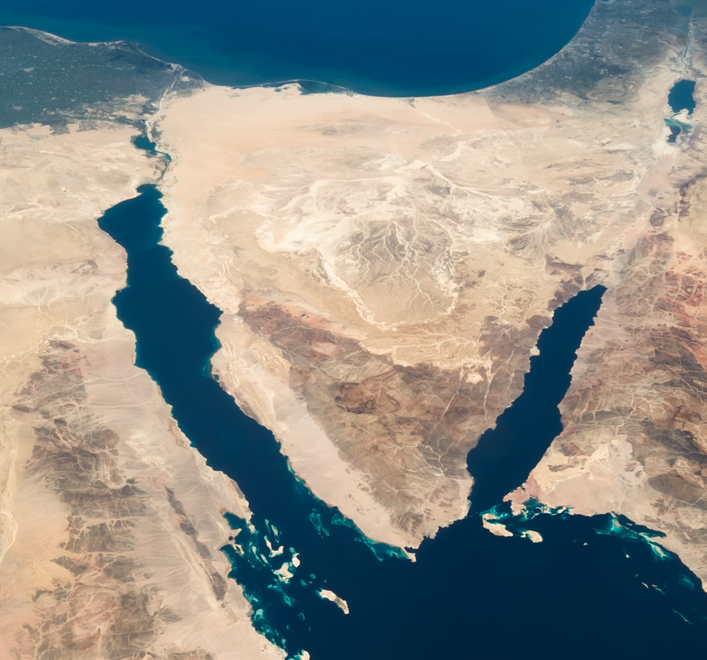 «الإصلاح والتنمية» يدعم مبادرة «المصرى اليوم» بـ ١٠٠ فدان