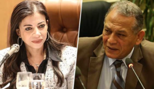 السادات يسأل أين الحقيقة في بيع القطاع العام