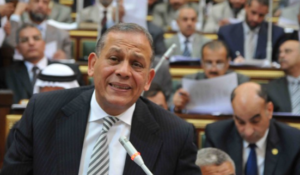 السادات لـ آخر النهار: وجود مجلس الشيوخ يخلق حالة من التوازن