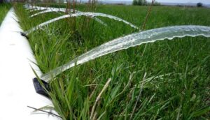 بيان عاجل لرئيس الوزراء ووزير الري