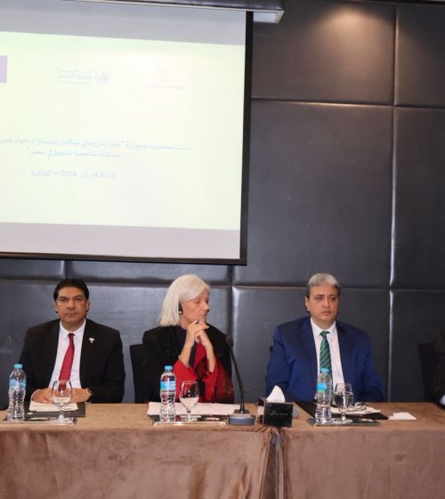 القومي لحقوق الإنسان يبدأ مناقشات حول إنشاء مفوضية لمناهضة التمييز